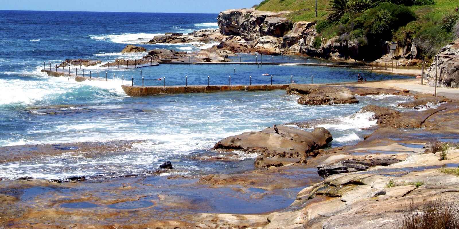 8/23 Duncan Street Maroubra