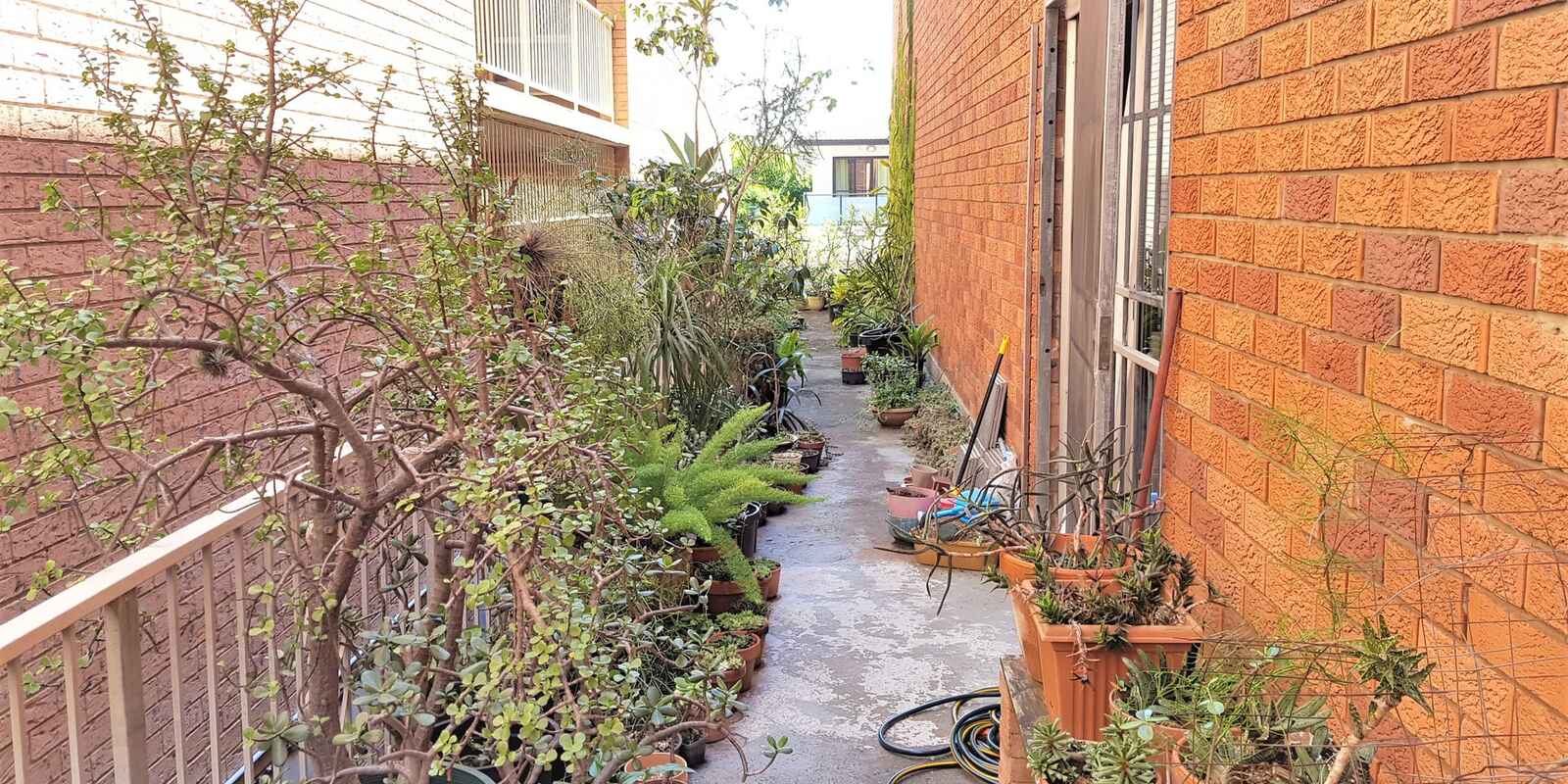 2/229 Anzac Parade Kensington