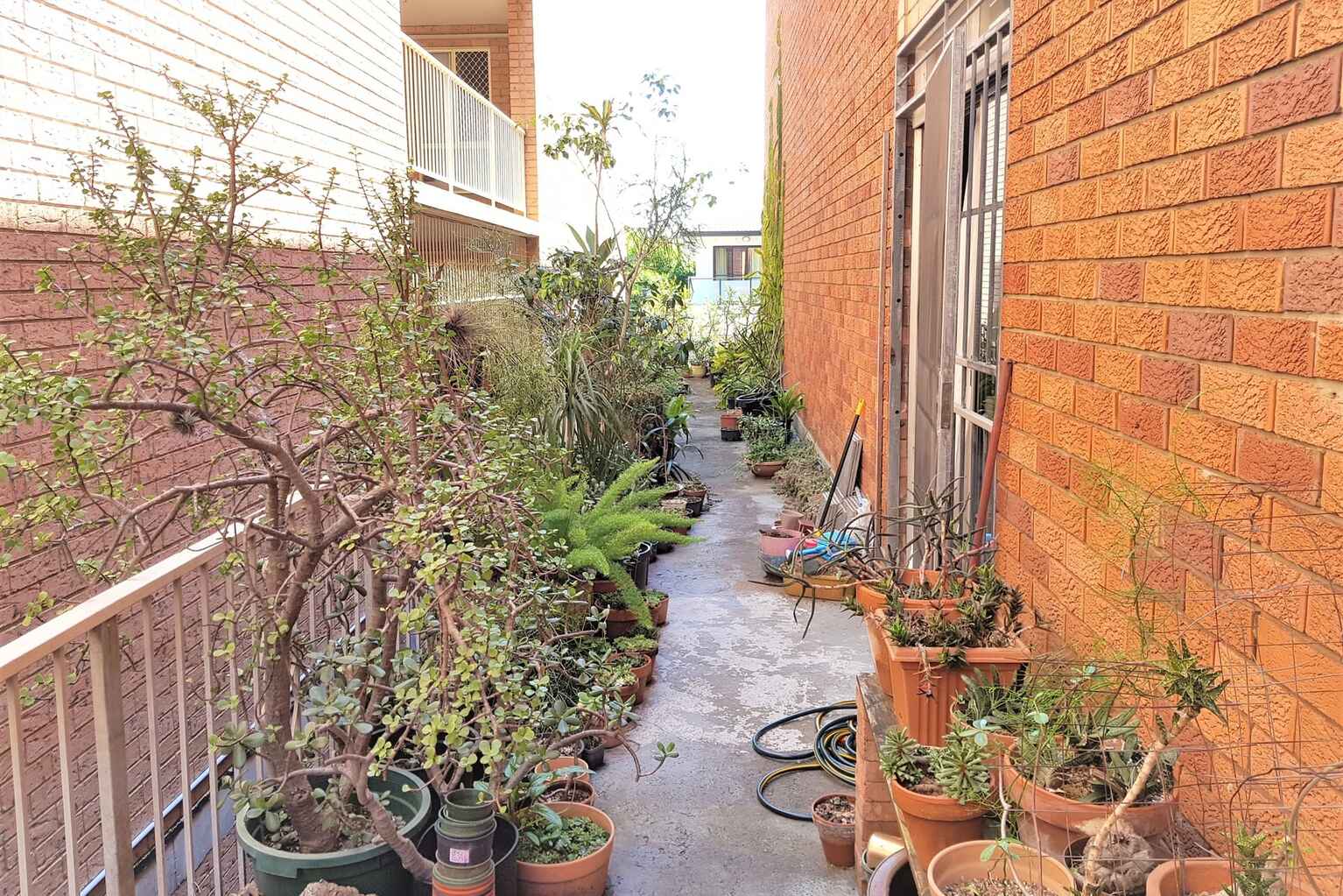 2/229 Anzac Parade Kensington 2/229 Anzac Parade Kensington