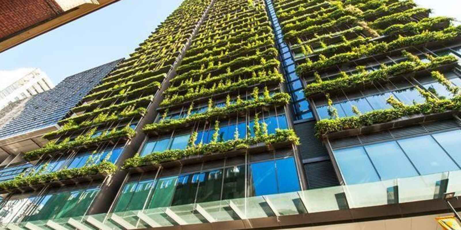 2406/3 Carlton Street Chippendale 2406/3 Carlton Street Chippendale