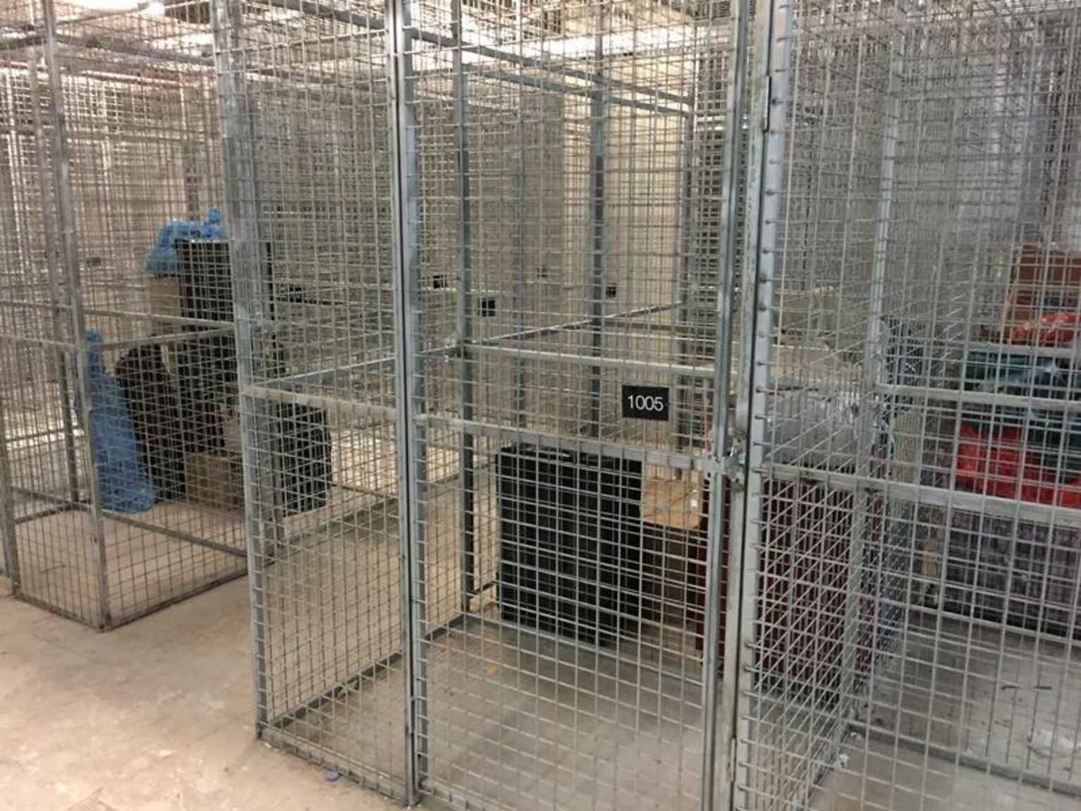 1005/209 Castlereagh Street Sydney