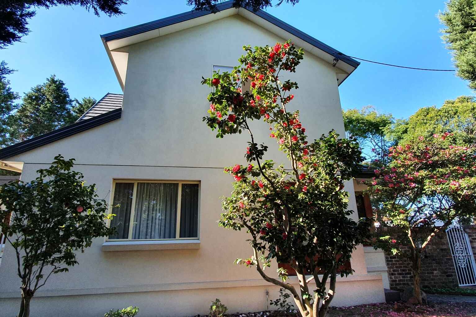 66 Banks Avenue Pagewood