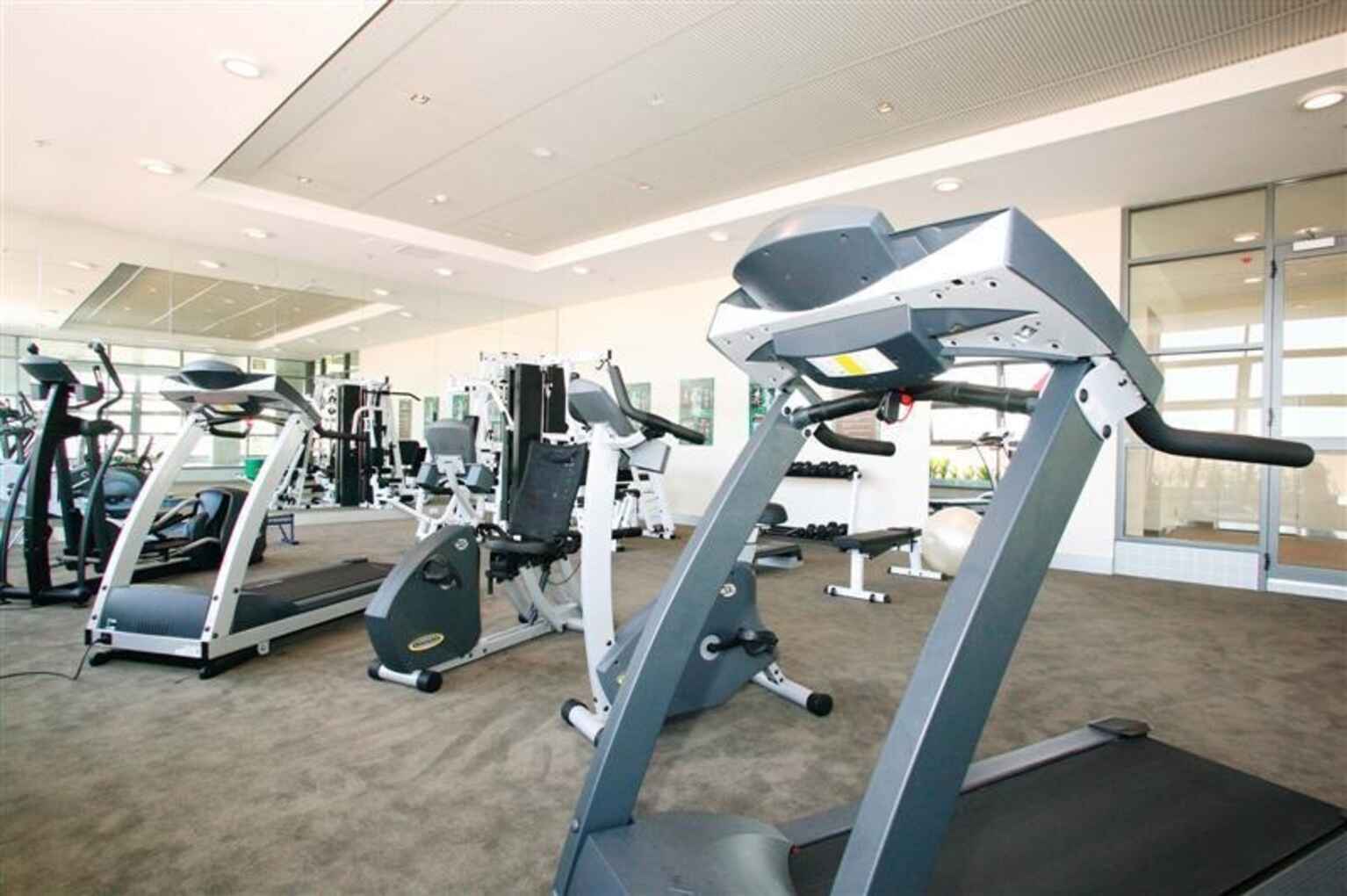 908/747 Anzac Parade Maroubra