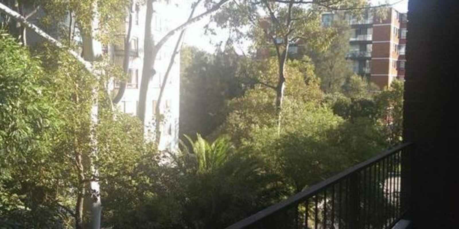 3D/14 Bligh Place Randwick