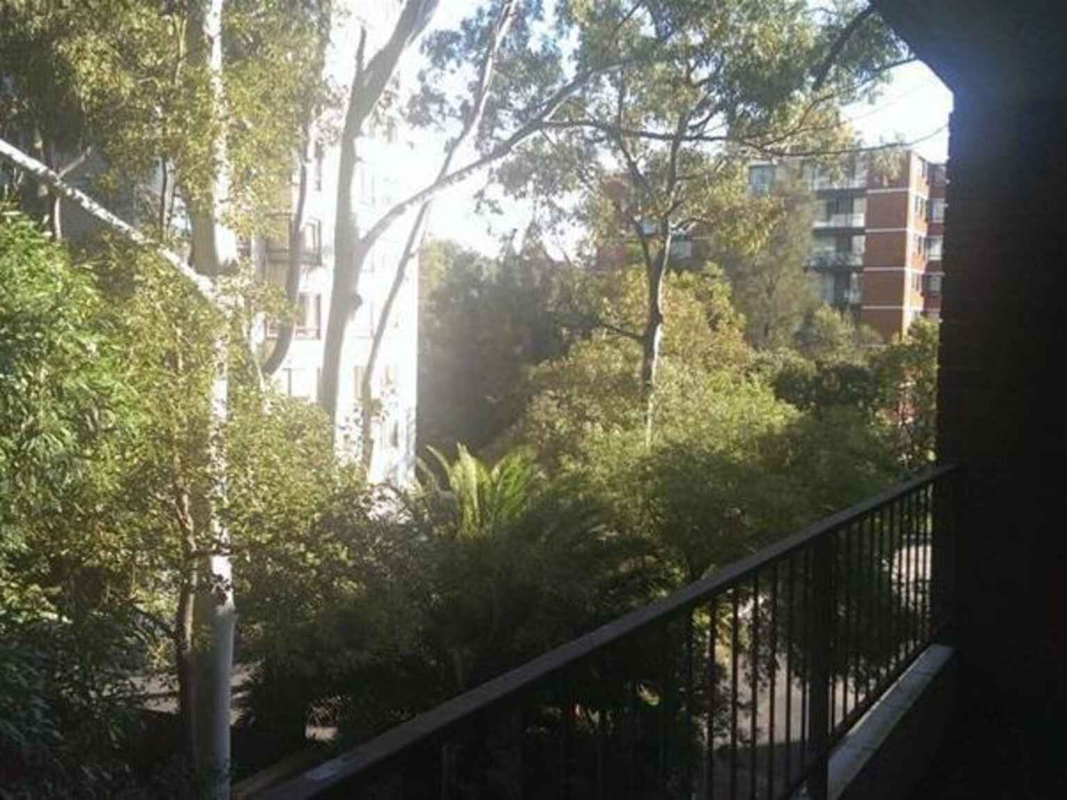 3D/14 Bligh Place Randwick 3D/14 Bligh Place Randwick