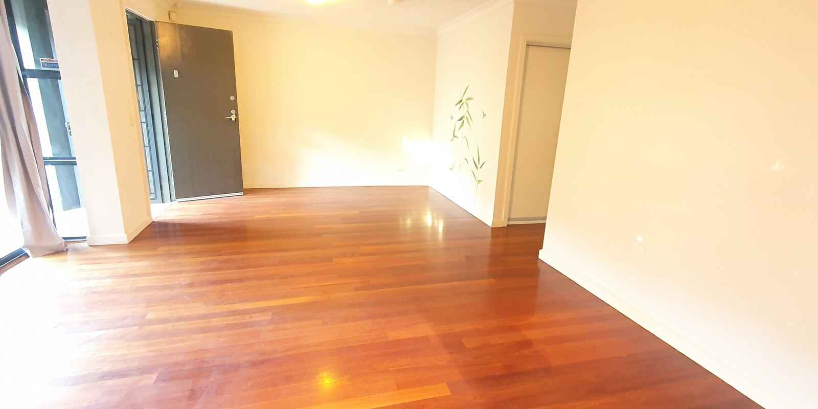 17/15 Begonia Street Pagewood