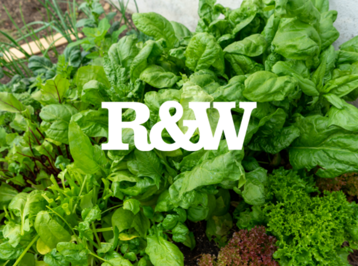 6 great ideas for growing a Small Garden 6 great ideas for growing a Small Garden