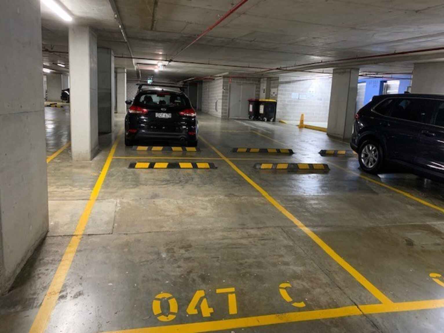 310c/1 Muller Lane Mascot