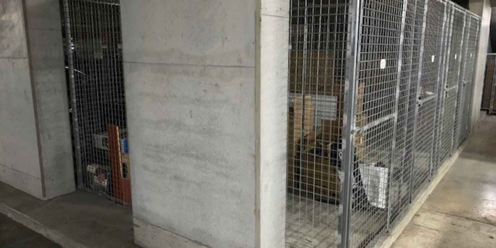 310c/1 Muller Lane Mascot